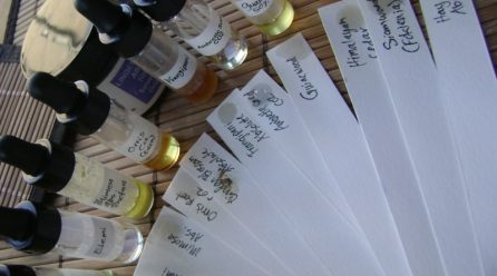 Aromaterapia sposobem na odchudzanie? Innowacyjne paski zapachowe mogą zdziałać cuda!
