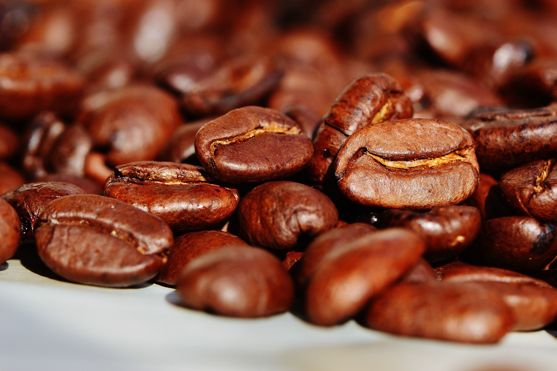 Świeże kawy mielone – jak wybrać najlepszą i jak przechowywać?