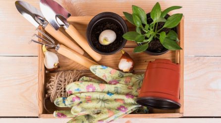 Jak wybrać odpowiednie narzędzia ogrodnicze do pielęgnacji swojego zielonego zakątka?